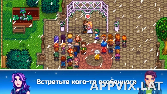 Stardew Valley скриншот 5